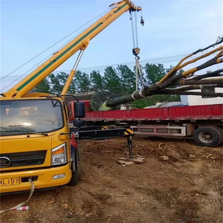 咸安100吨吊车租赁费用怎么算？3大关键因素+省钱技巧全解析